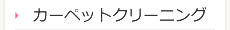 カーペットクリーニング