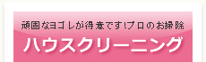 頑固なヨゴレが得意です！プロのお掃除